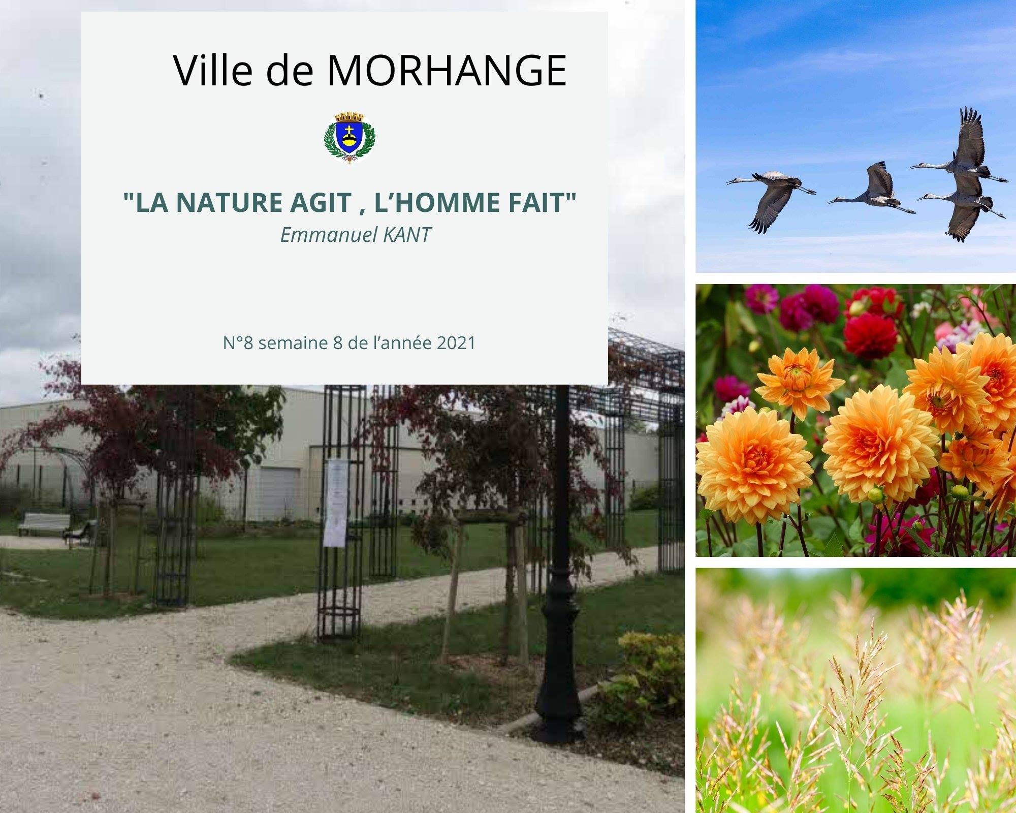 La nature agit, l'homme fait - Semaine 8